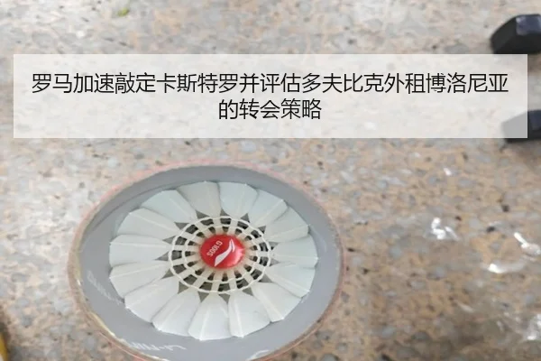 罗马加速敲定卡斯特罗并评估多夫比克外租博洛尼亚的转会策略